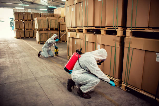 Best Cockroach Control Services  in Pittsboro, IN