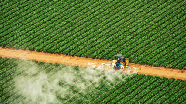Pest Prevention Services in Pittsboro, IN