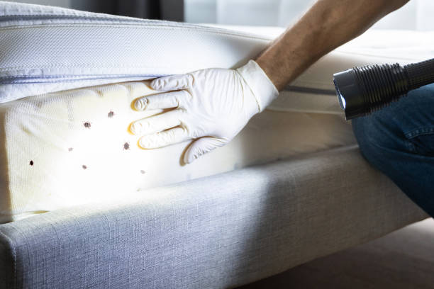 Best Affordable Pest Control Services  in Pittsboro, IN
