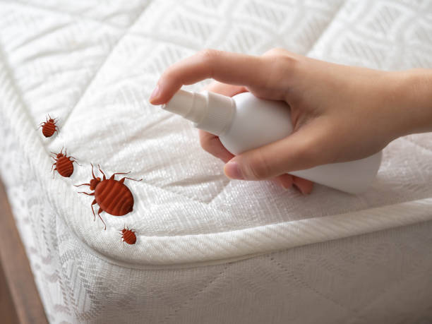 Best Bed Bug Extermination  in Pittsboro, IN